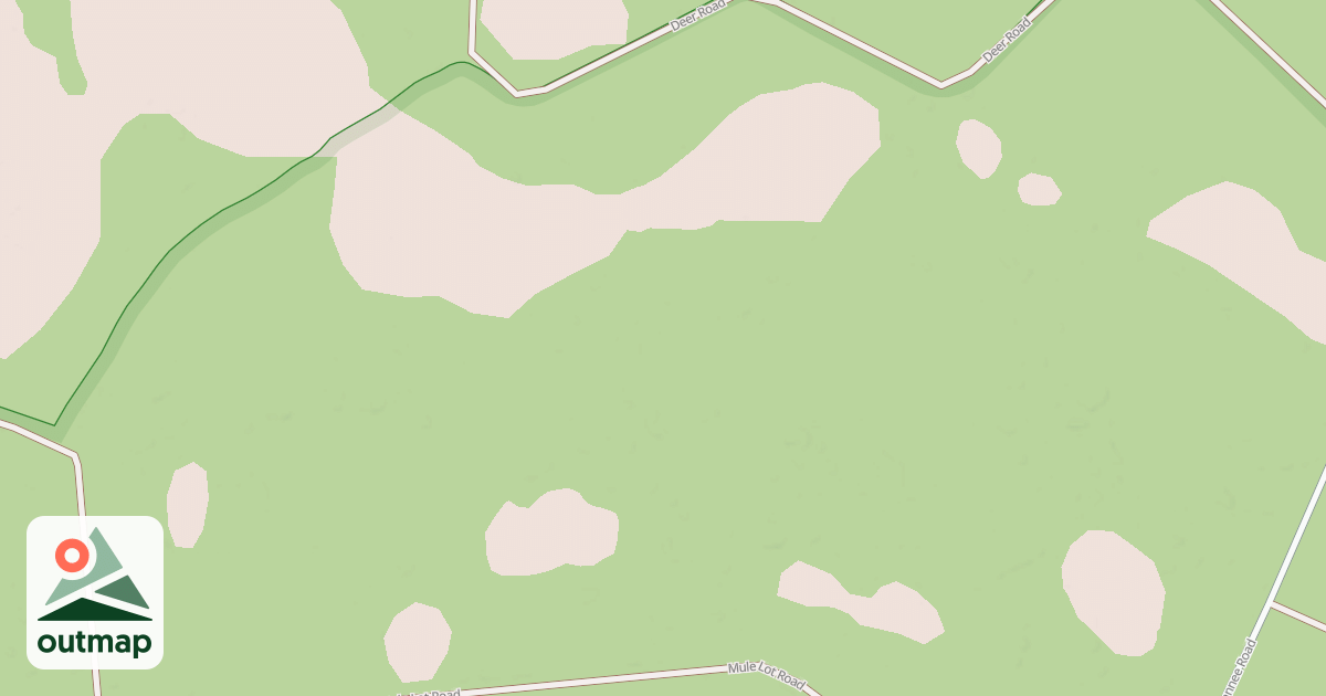 Map of USFS National Forest System Roads {162483D4-C837-434B-B1D2-361572905A93}