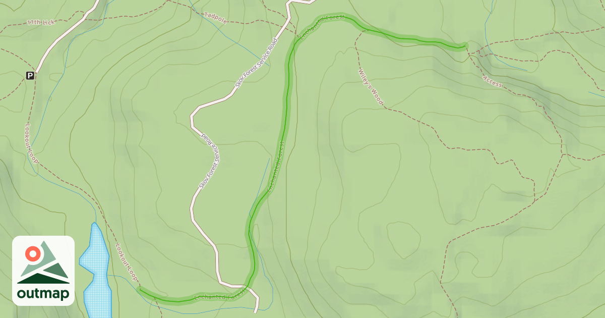 Map of Enchanted Forest