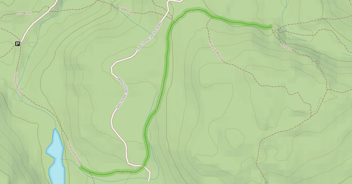 Map preview of Enchanted Forest