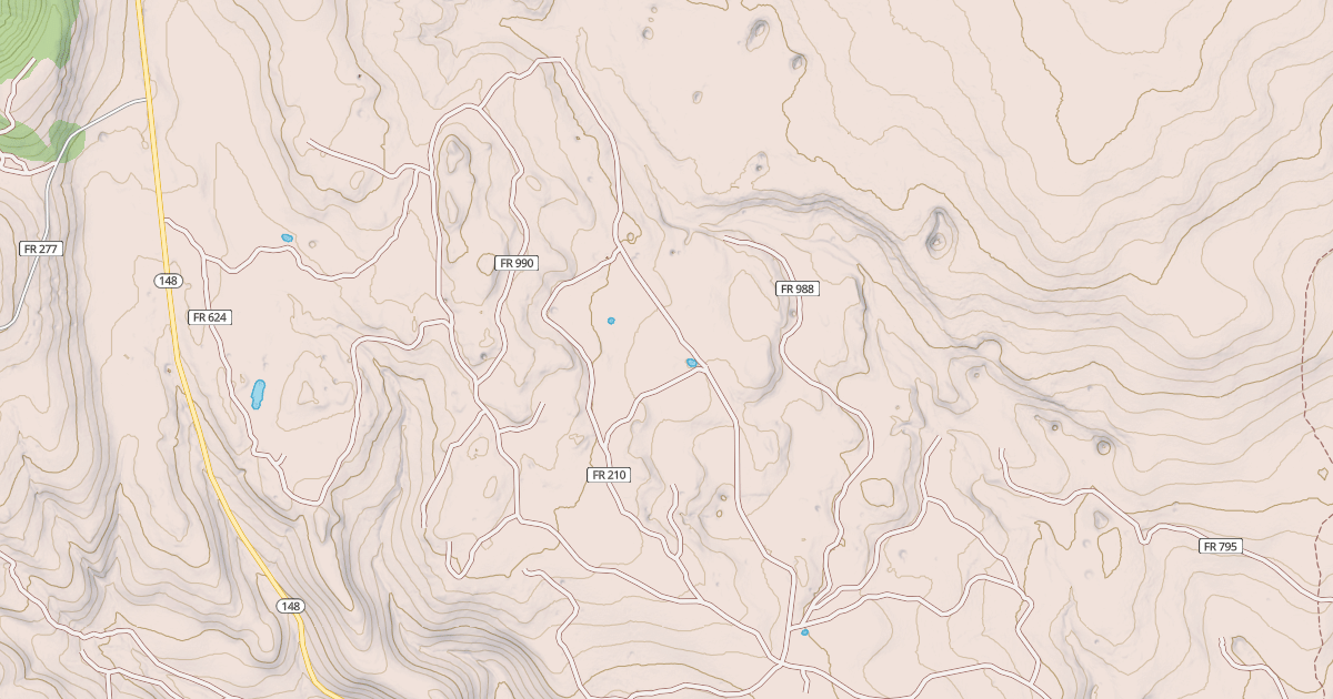 Map preview of USFS National Forest System Roads {191D2F27-BEF2-4B21-BBA6-7604E1DD9C74}