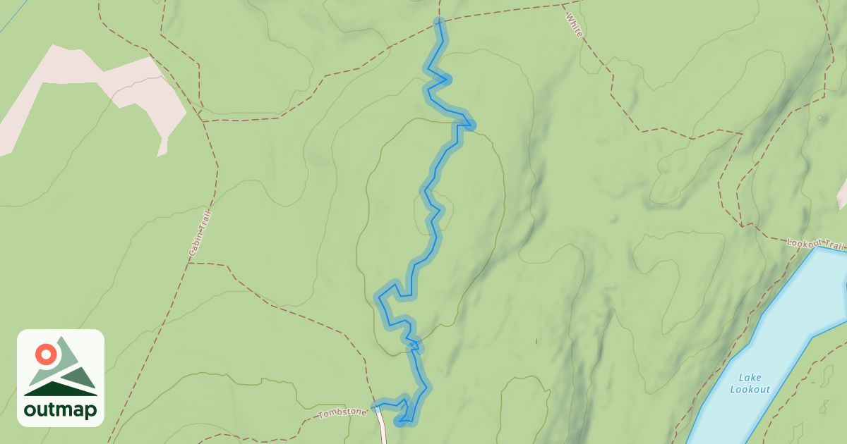 Map of Timber
