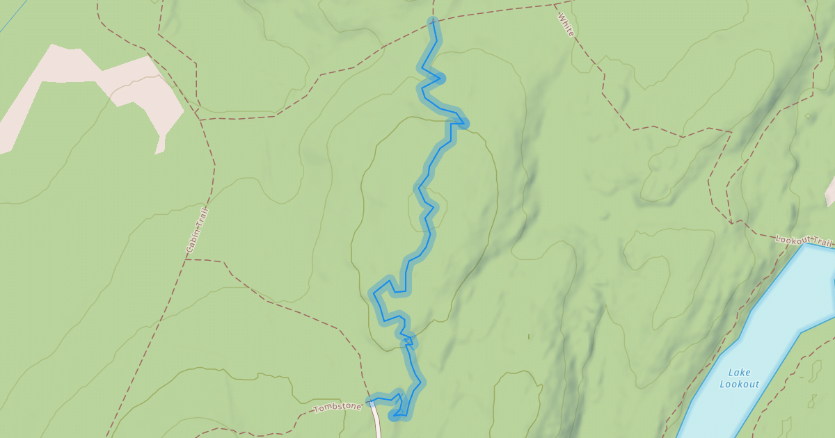 Map preview of Timber