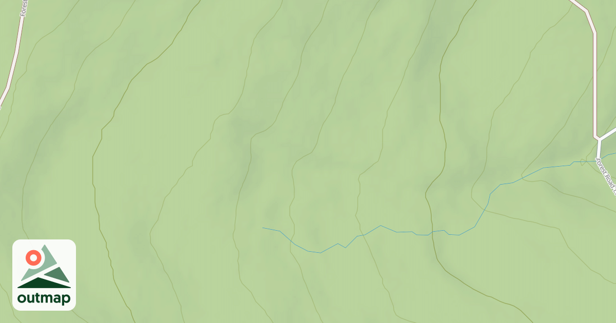 Map of USFS Motor Vehicle Use Map Roads {0542C806-02B2-4ECD-8F3F-DB8A3F999049}