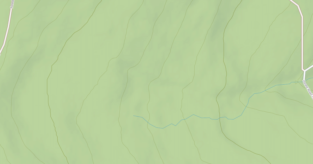 Map preview of USFS Motor Vehicle Use Map Roads {0542C806-02B2-4ECD-8F3F-DB8A3F999049}