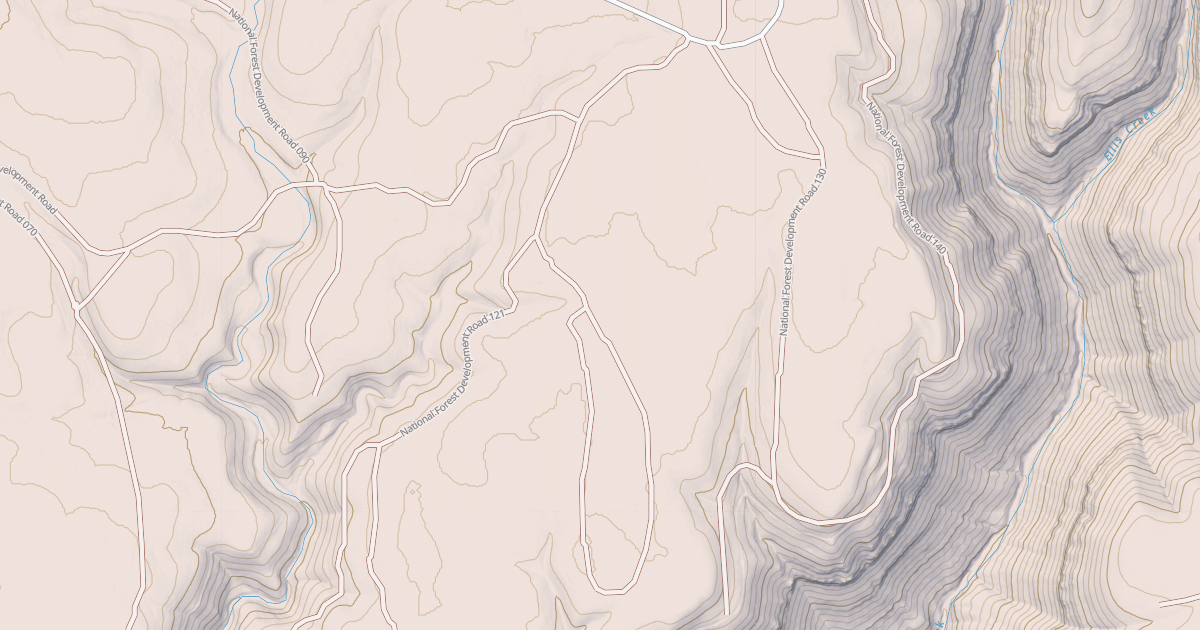 Map preview of USFS National Forest System Roads {587B5B13-9400-4EF8-81F0-DEBA80F6A3F6}