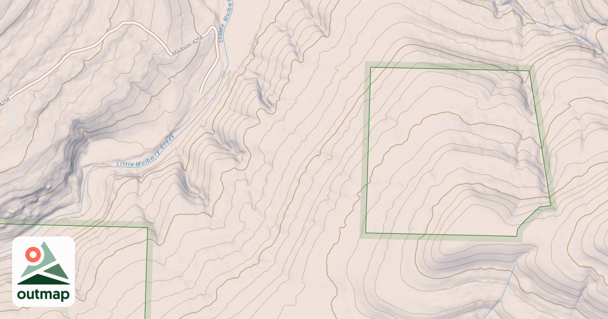 Map of USFS Motor Vehicle Use Map Roads {AE7855C8-CAF9-463C-ABFF-5D5965A564FC}