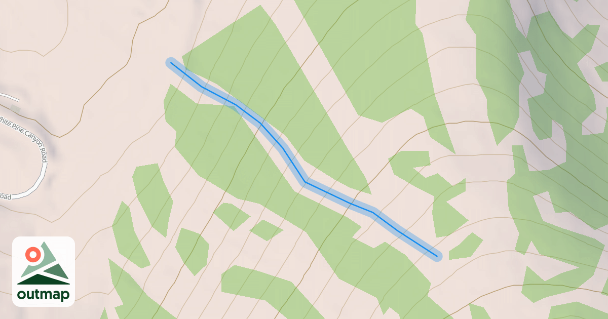 Map of Bliss