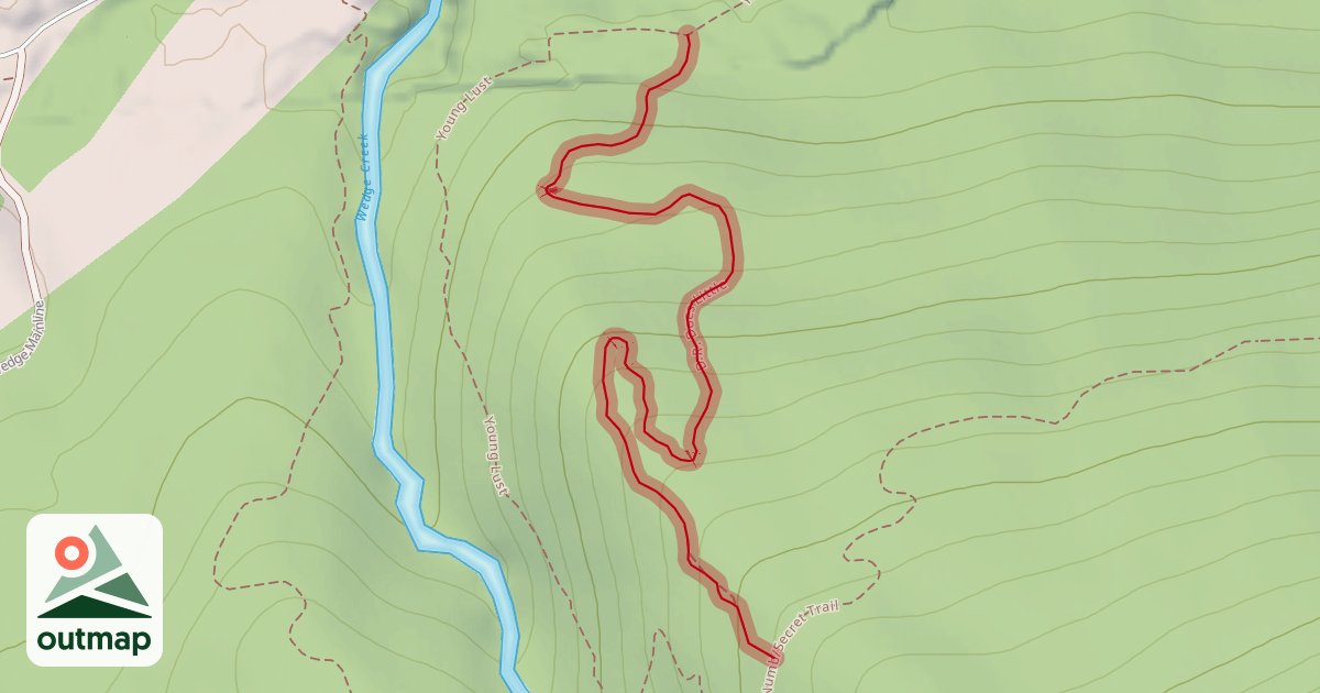 Map of Dr. Does Little
