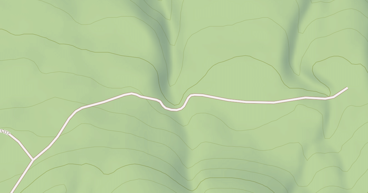 Map preview of USFS National Forest System Roads {AD13D605-BA6D-4F35-9484-A6497C4005CA}