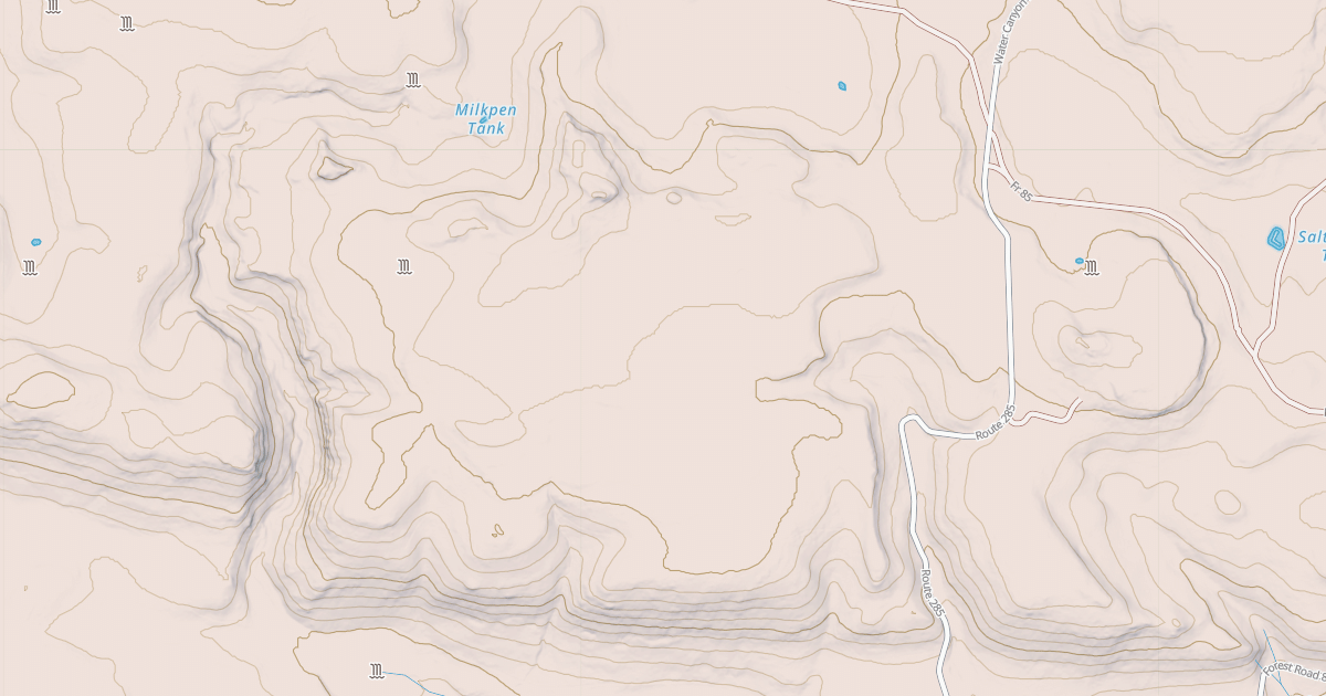 Map preview of USFS National Forest System Roads {3F33A503-B418-4EF0-A728-4F5A690B39FE}