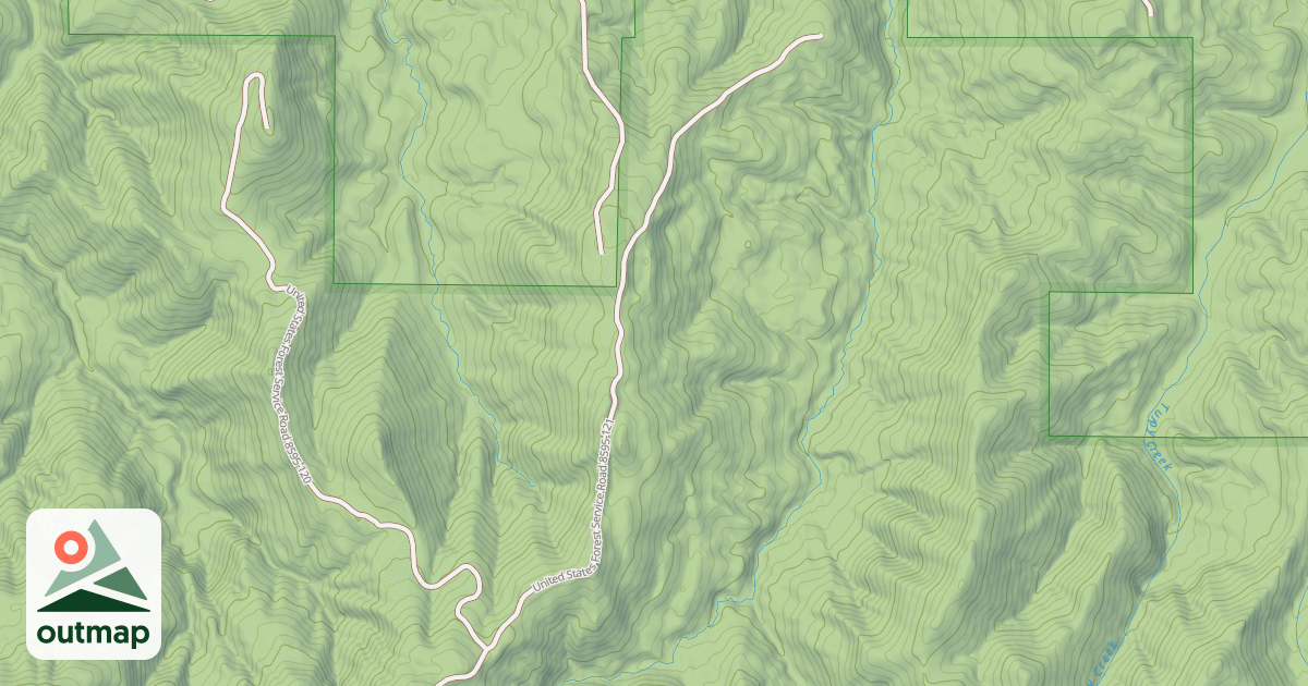 Map of USFS National Forest System Roads {468E0D2E-C0CA-416D-B03E-DFFC516005EE}
