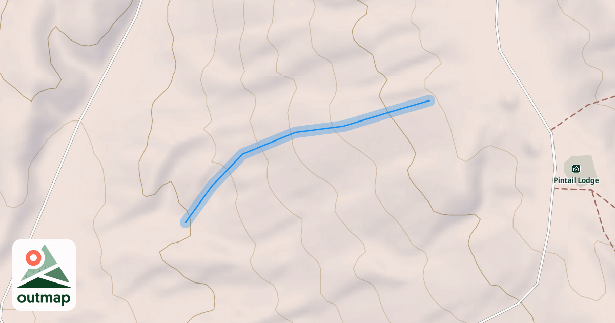 Map of Chips