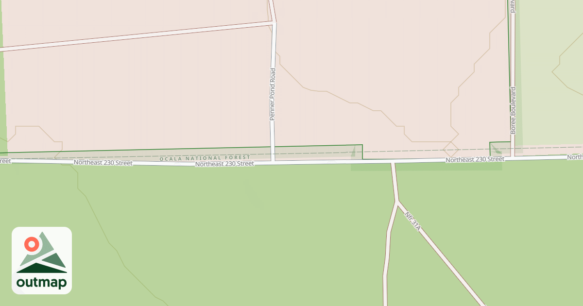 Map of USFS Motor Vehicle Use Map Roads {12EAB6D0-0D0A-4F78-81C7-F178F4DDC532}