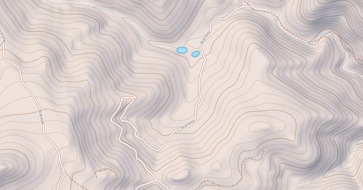 Map preview of BLM National GTLF Public Motorized Roads c4cef103-2768-41e6-8de1-02ab8e0b425d
