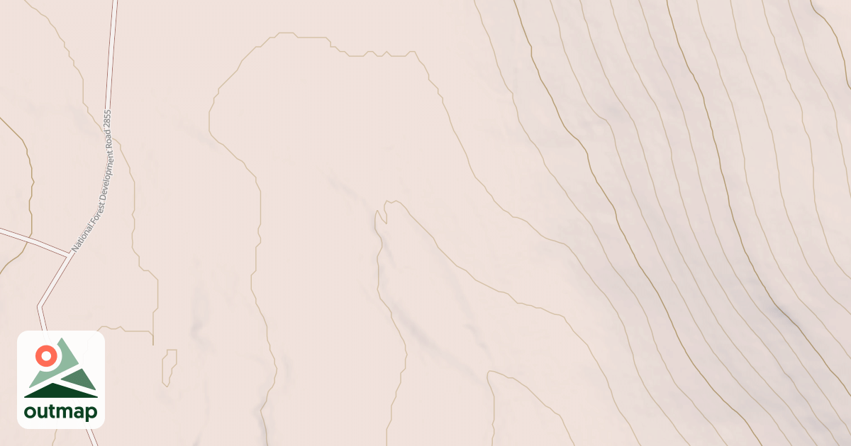 Map of USFS National Forest System Roads {011A2505-373A-4A5B-ACF9-0B2541DEEEAA}