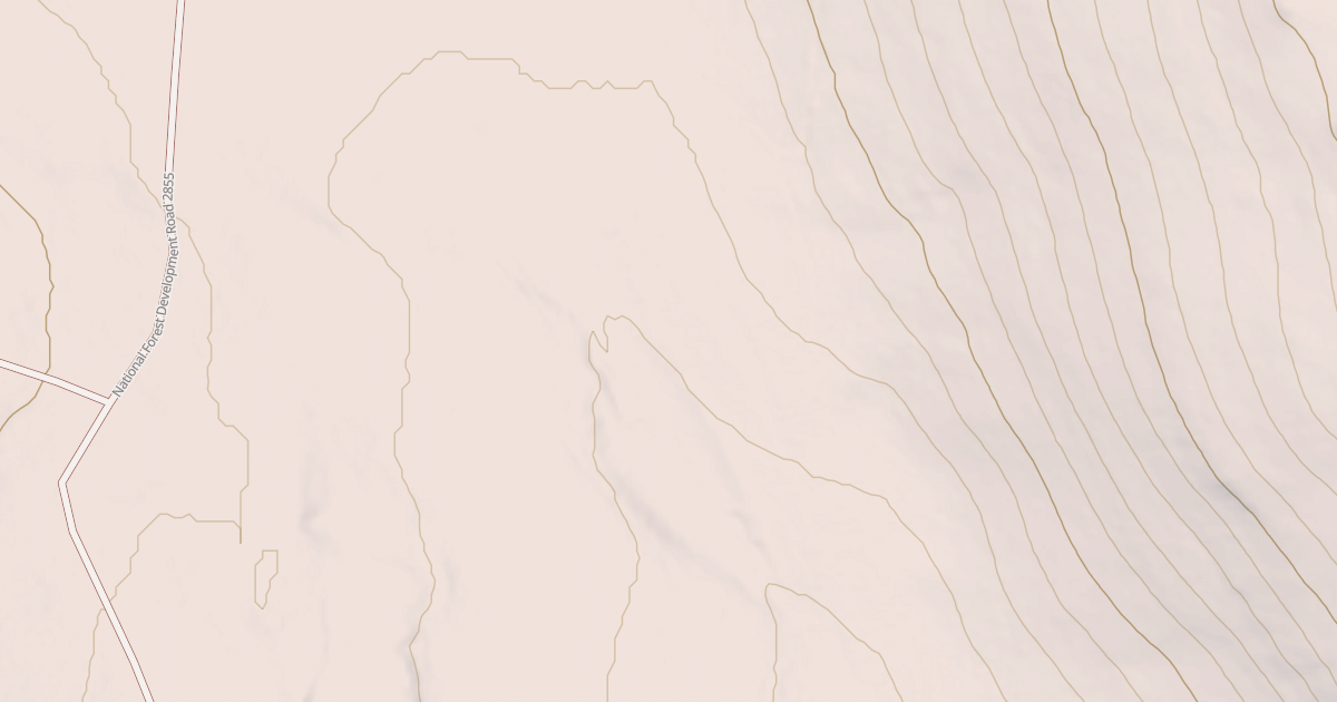 Map preview of USFS National Forest System Roads {011A2505-373A-4A5B-ACF9-0B2541DEEEAA}