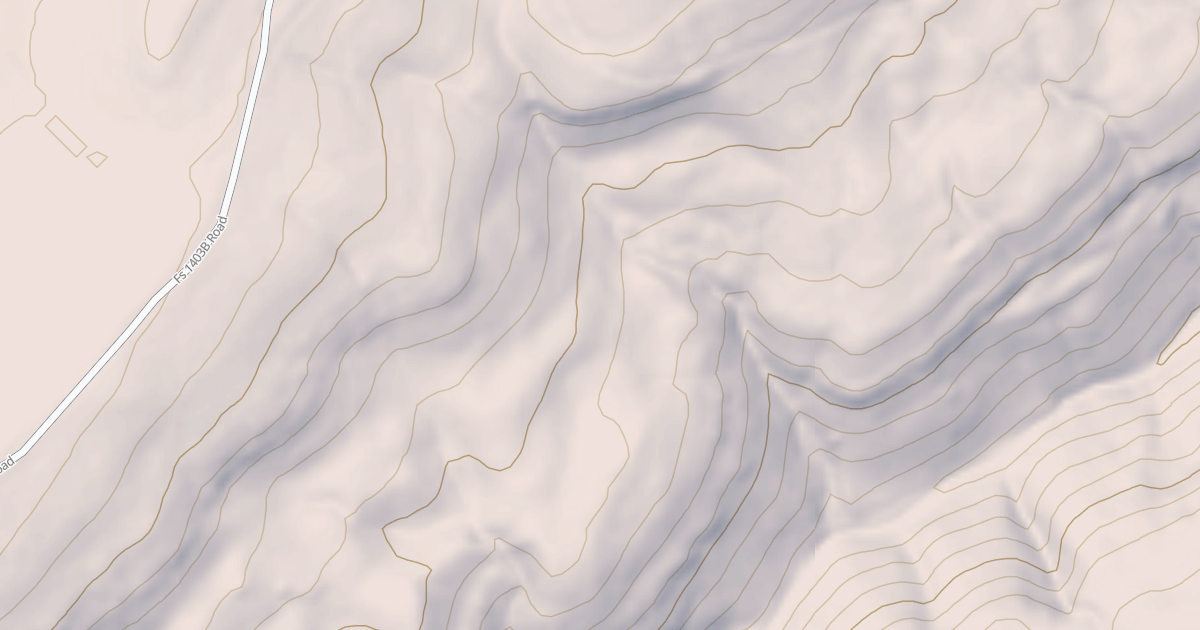 Map preview of USFS National Forest System Roads {670DB0A1-6E85-4F8E-82F3-114CCB6E35BE}
