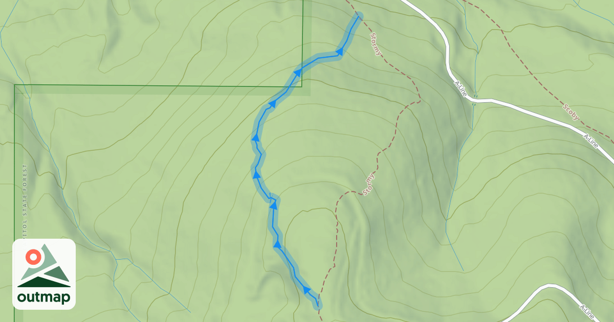 Map of Bowfinger