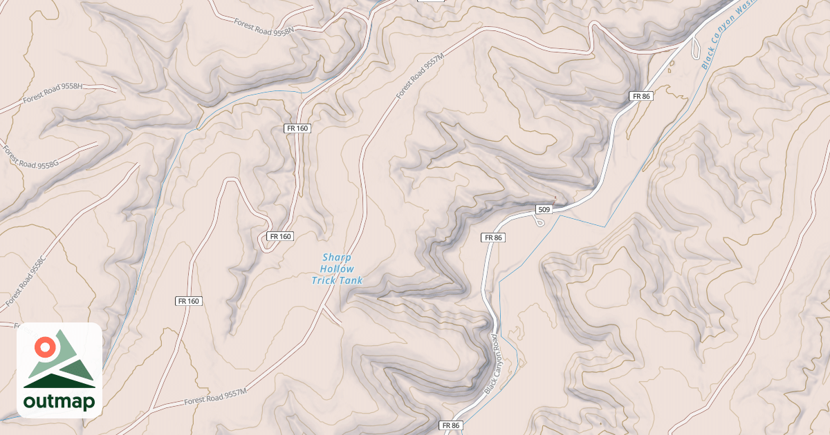 Map of USFS National Forest System Roads {A2B03A70-875F-4490-AF26-CFE52781902A}