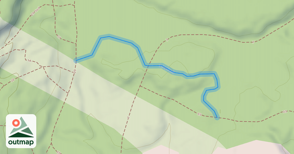 Map of 3 (option)