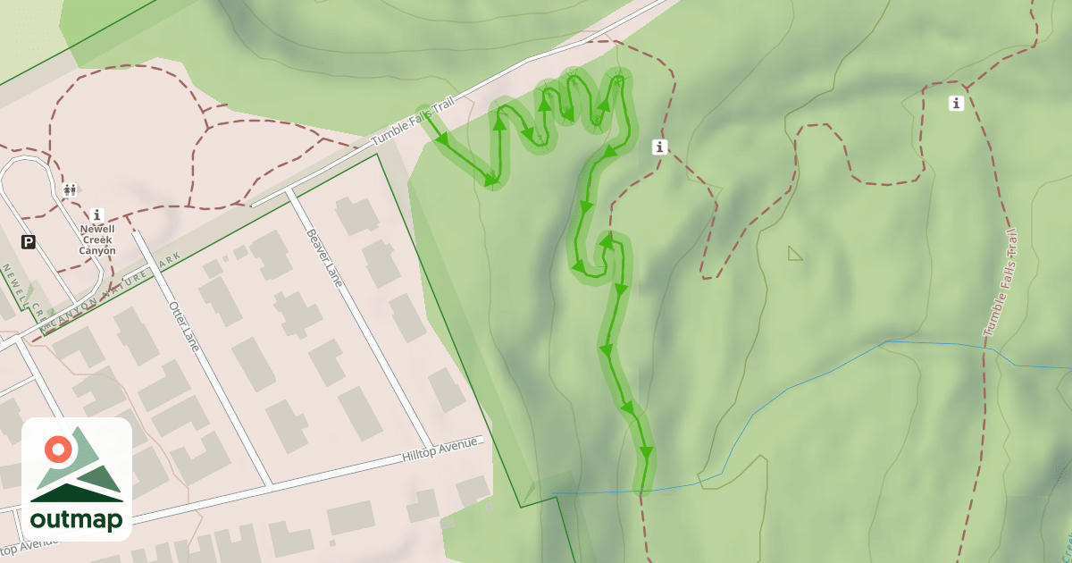 Map of Shady Lane