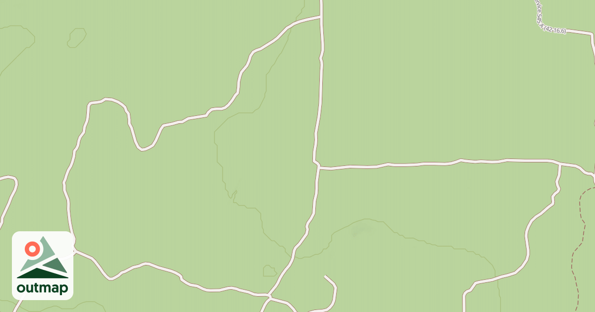 Map of USFS National Forest System Roads {04ACD666-6B9D-4D08-A963-43A9AE7B551D}