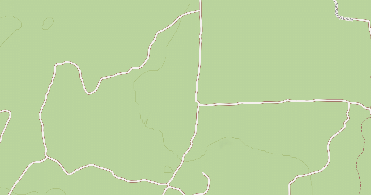 Map preview of USFS National Forest System Roads {04ACD666-6B9D-4D08-A963-43A9AE7B551D}