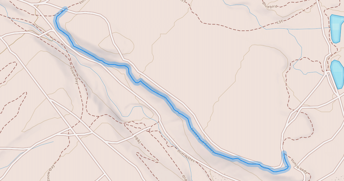 Map preview of Sticks and Stones