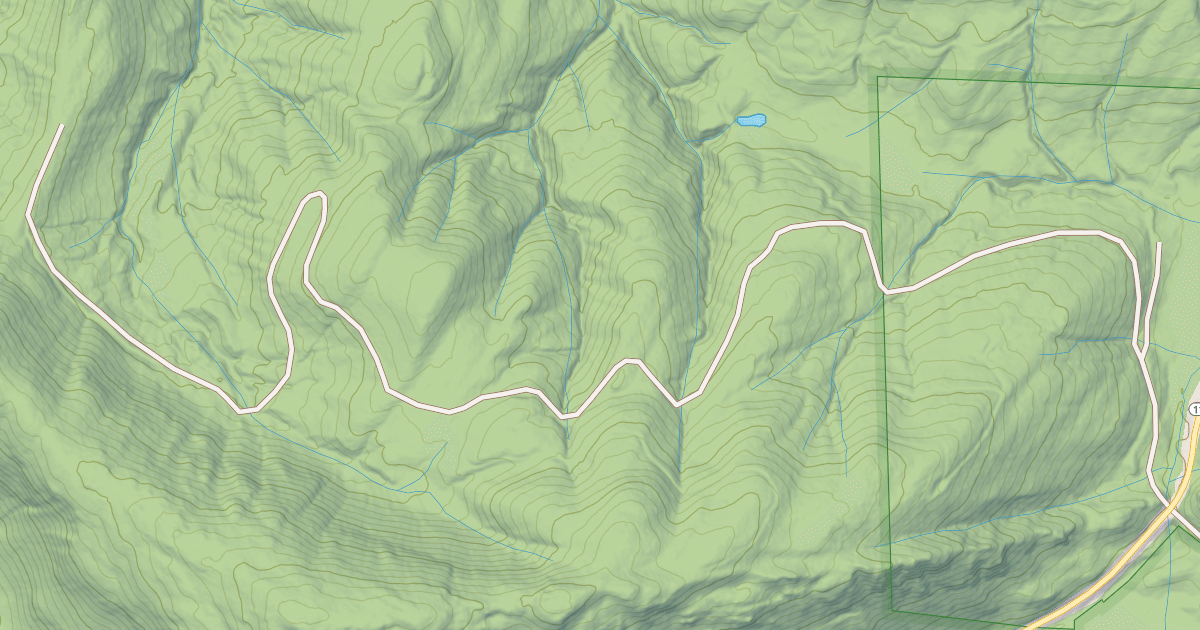 Map preview of USFS Motor Vehicle Use Map Roads {A3E749A2-F4D3-4B33-9EEF-4A31F06BD844}