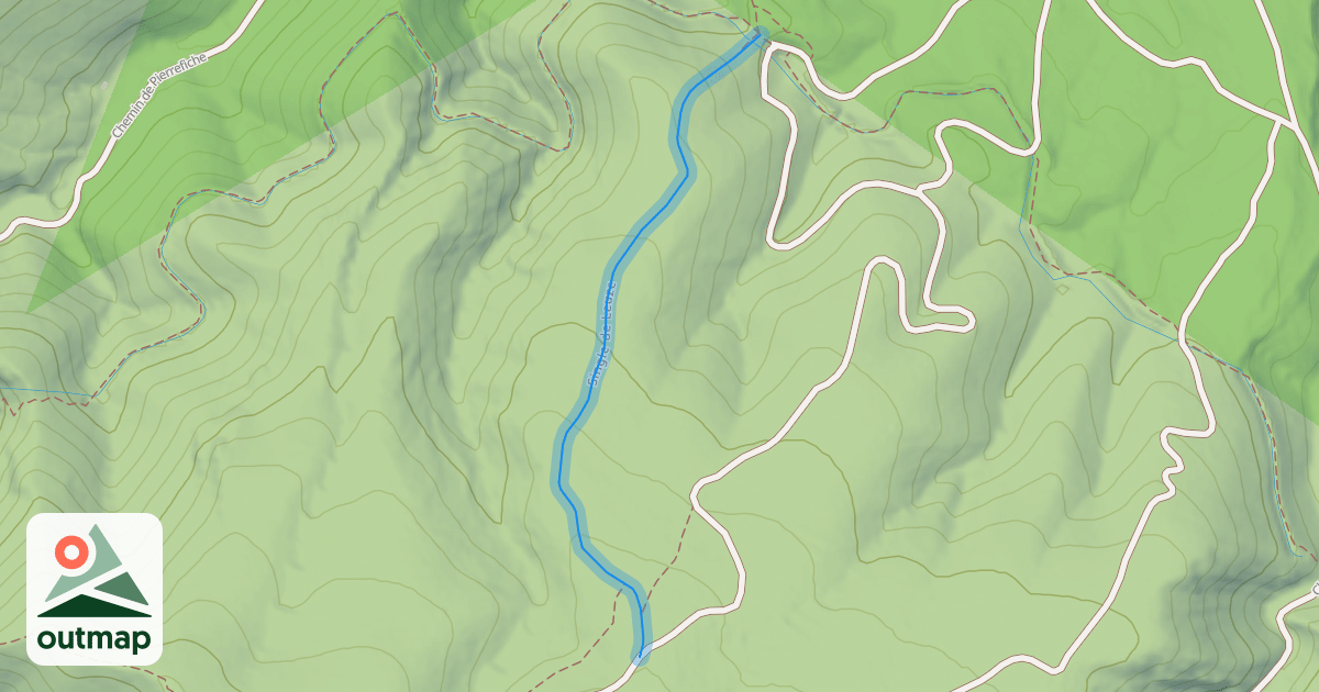Map of Single de Leuze