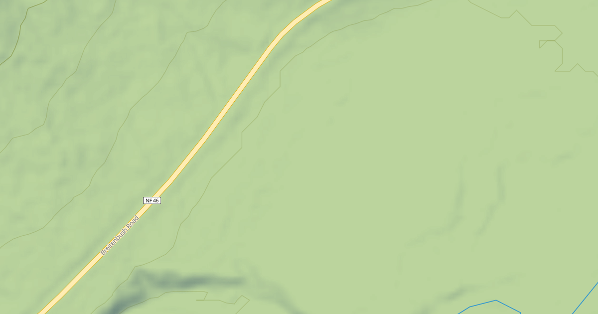 Map preview of USFS National Forest System Roads {BDE8A384-E9BE-4458-B543-FD43D0089D92}