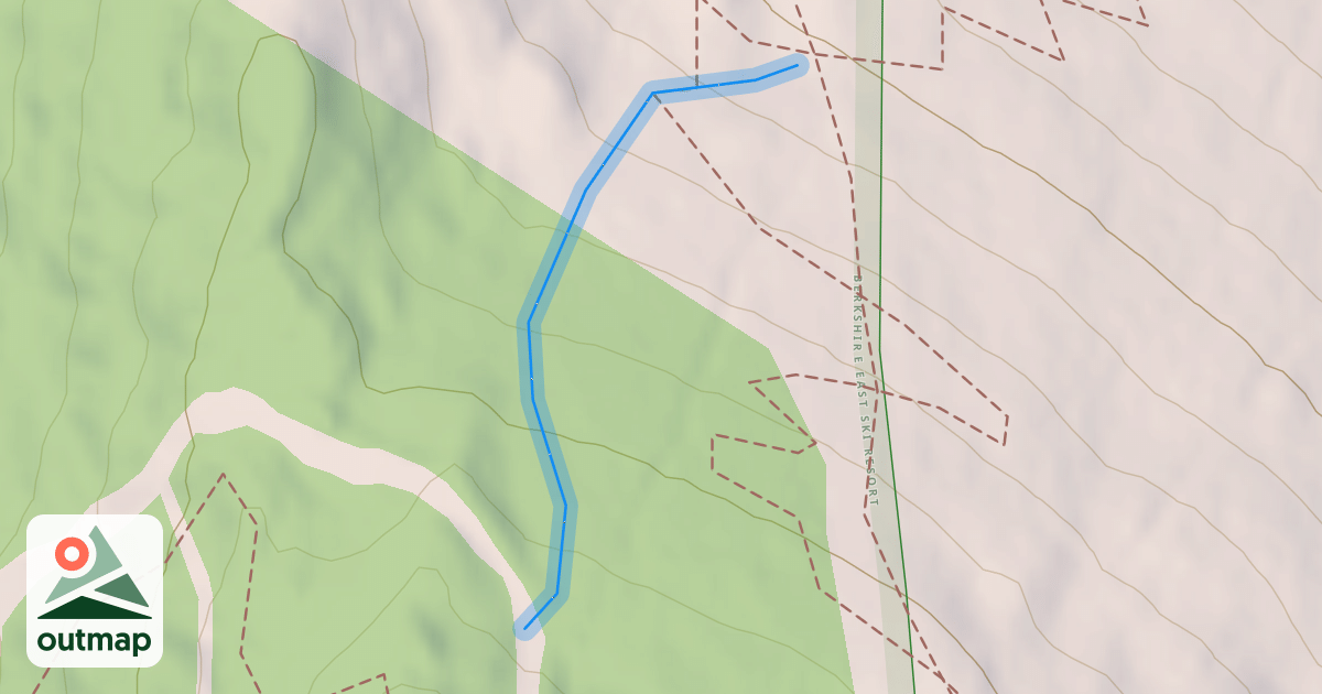 Map of Bolt