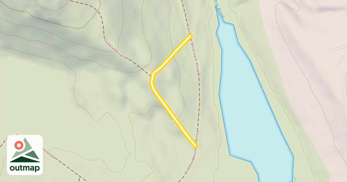 Map of Race