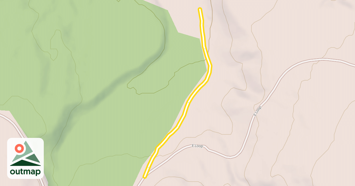 Map of C Loop