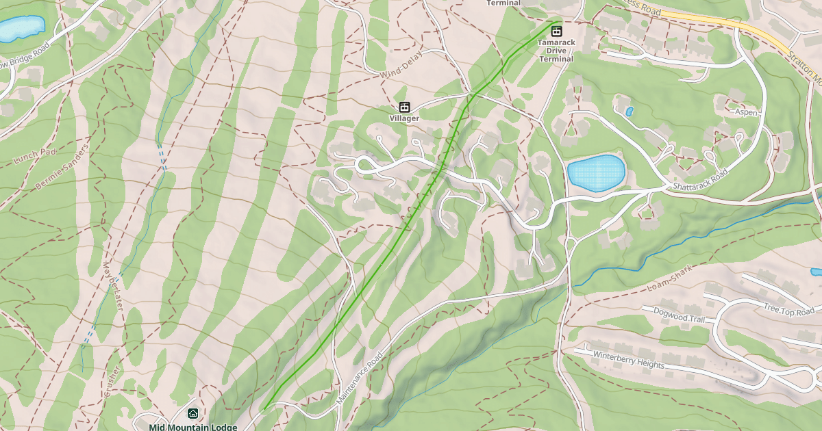 Map preview of Lower Tamarack