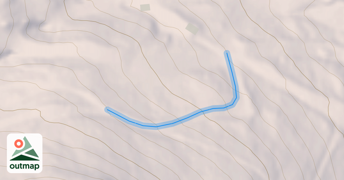 Map of L. Excelsior