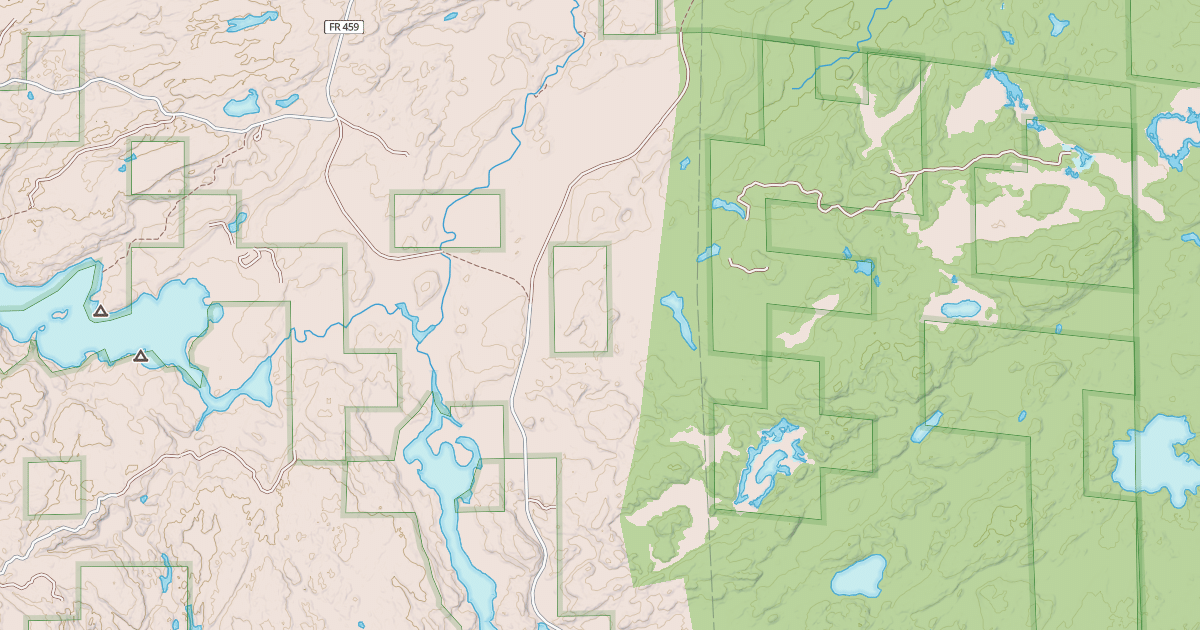 Map preview of BROWNS LAKE