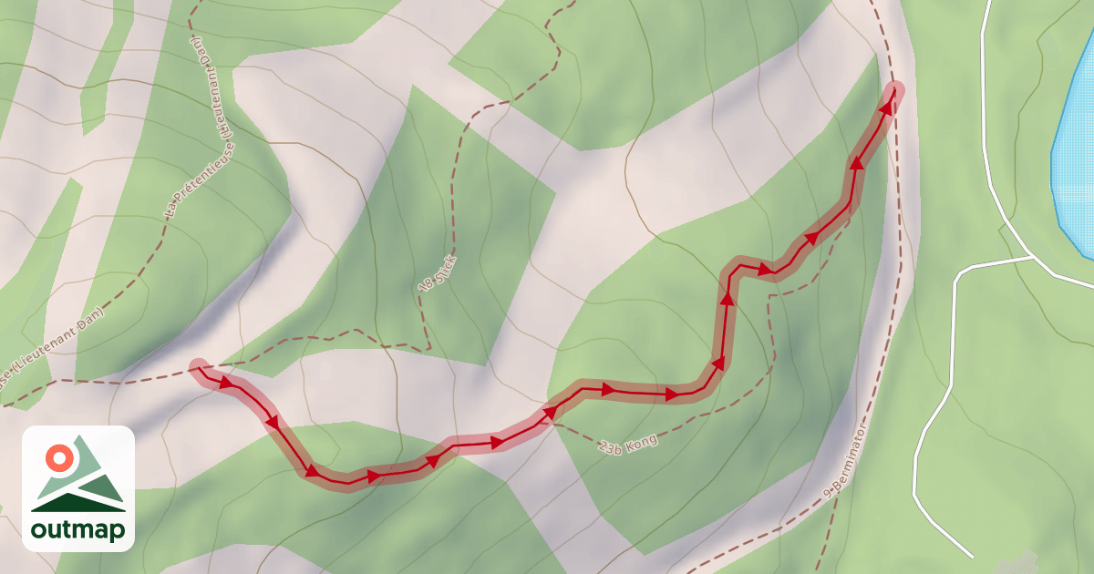 Map of 23 King (haut)