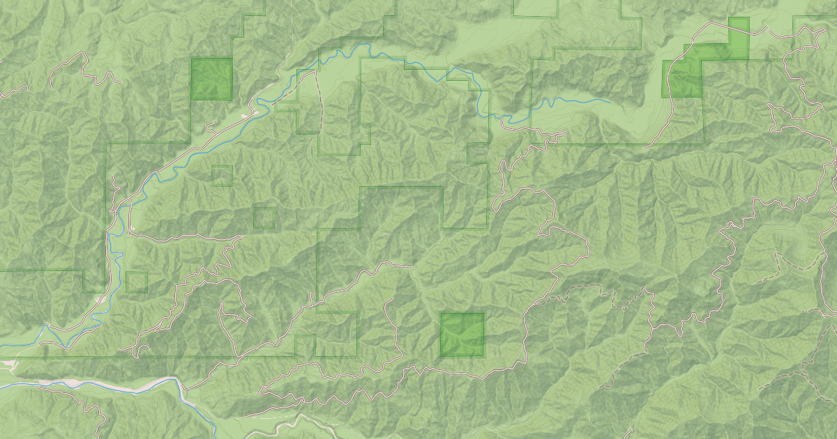Map preview of USFS Motor Vehicle Use Map Roads {EA37E8B2-F1DE-458D-A9CC-9F166A71ECF4}