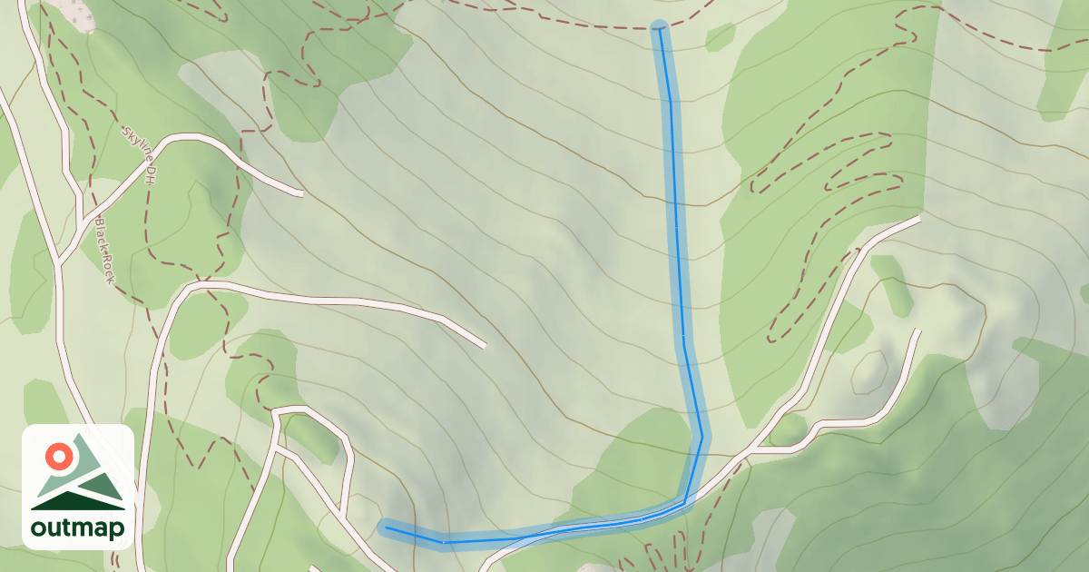 Map of Four Fun