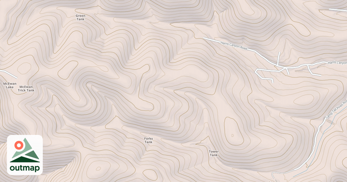 Map of CHRISTMAS TREE