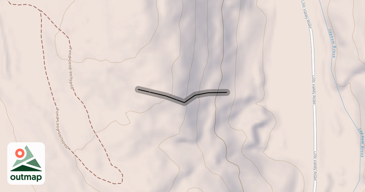 Map of Raccoon