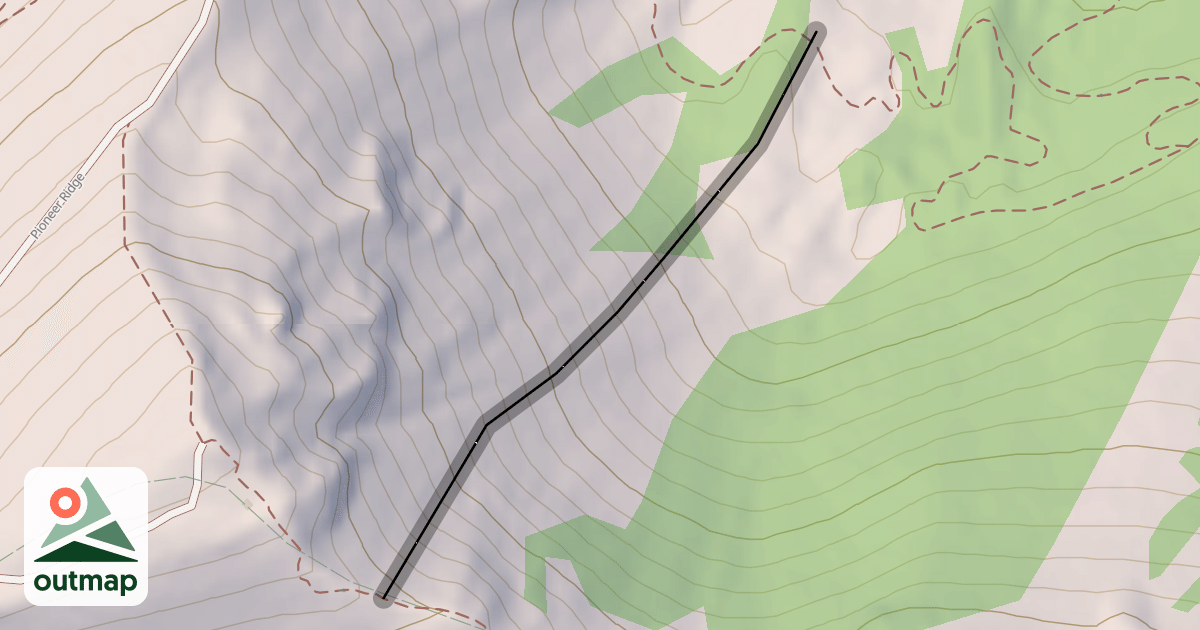 Map of O-Zone
