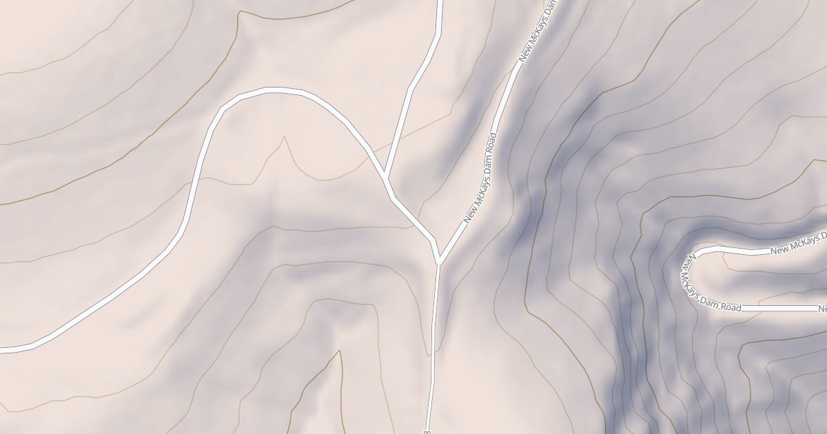 Map preview of USFS National Forest System Roads {D54A1DE9-EDE9-40AB-A5F8-0861116ACFAA}