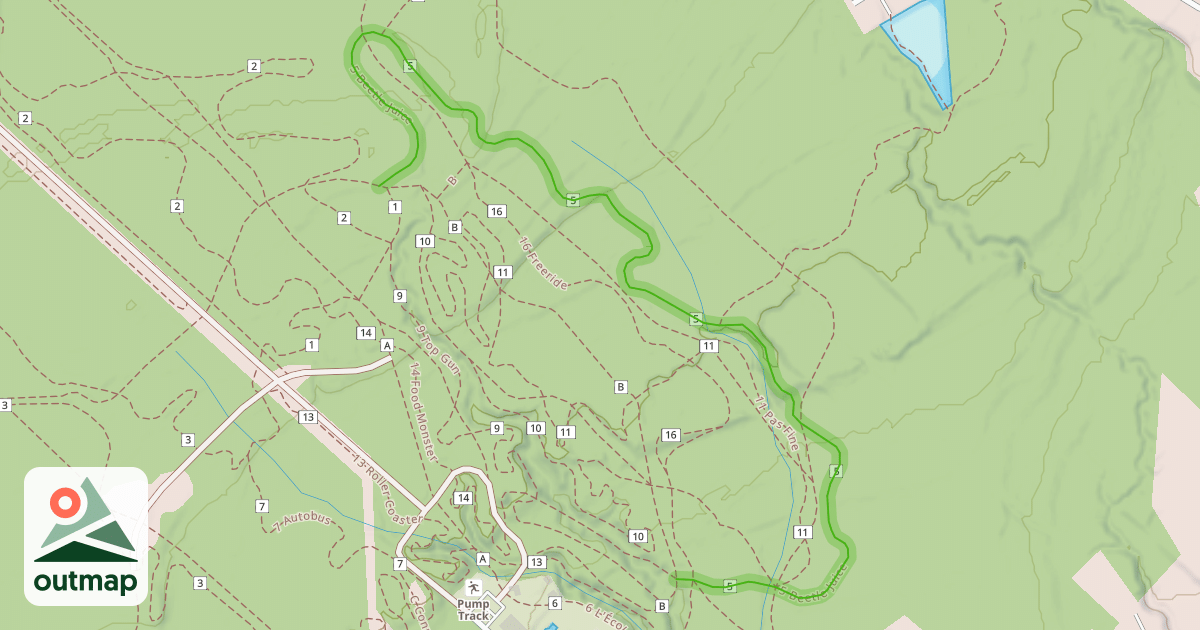 Map of 5 Beetle Juice