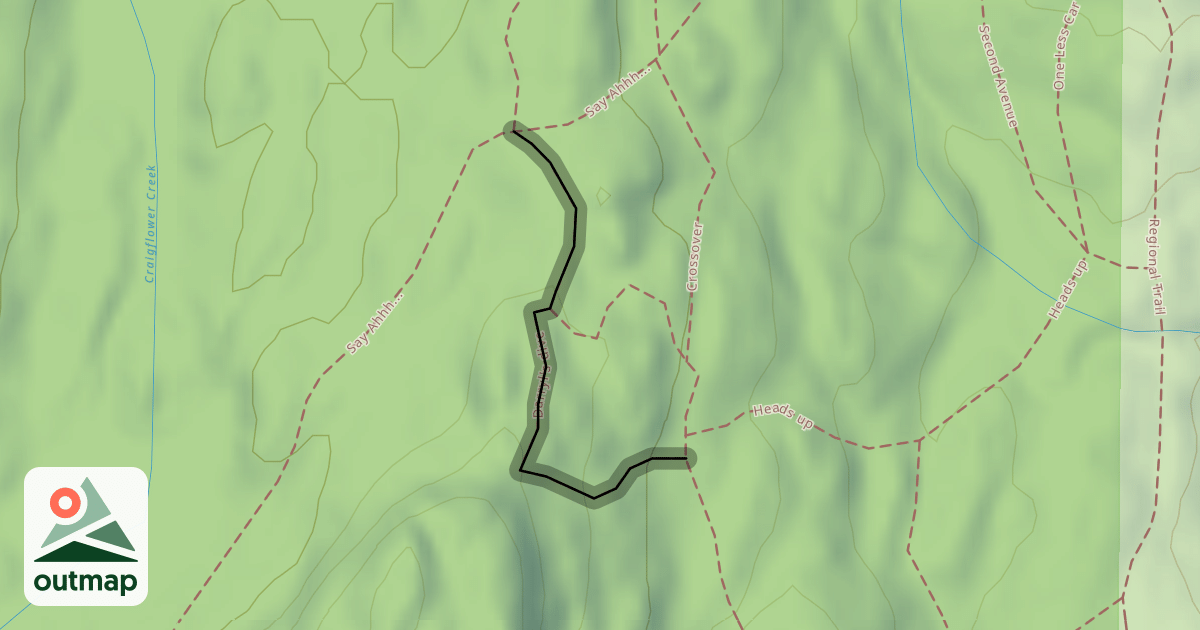 Map of Darryl's dive