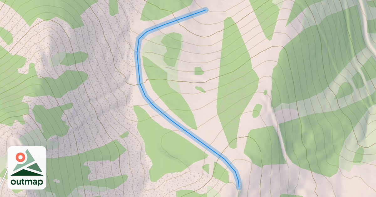 Map of Gold