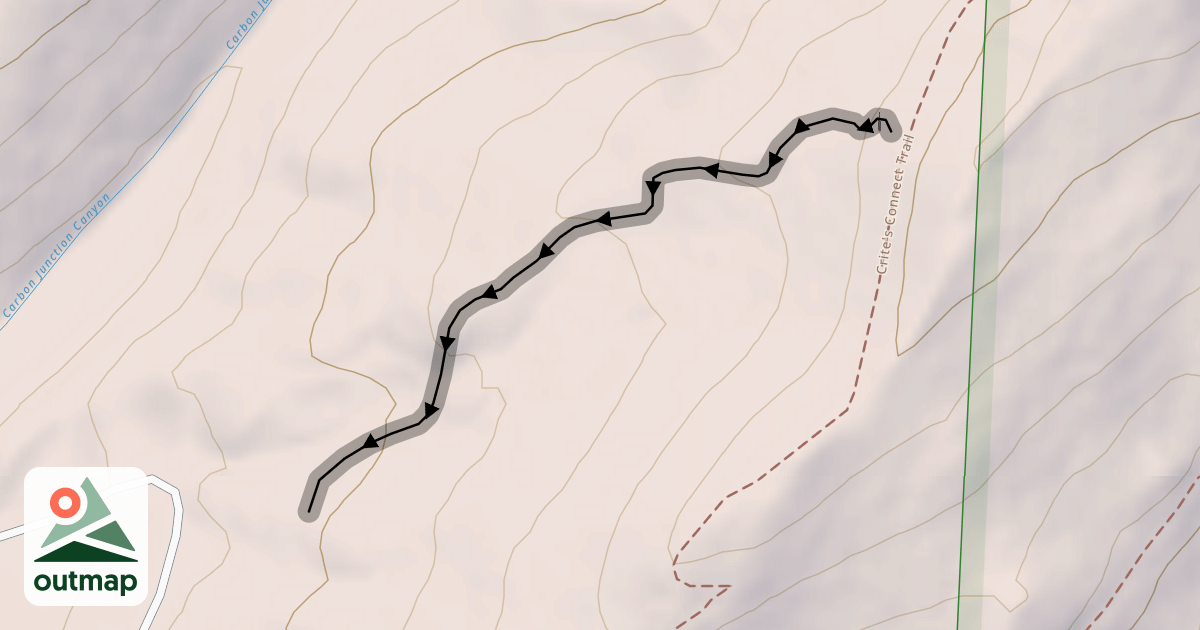 Map of Hairball