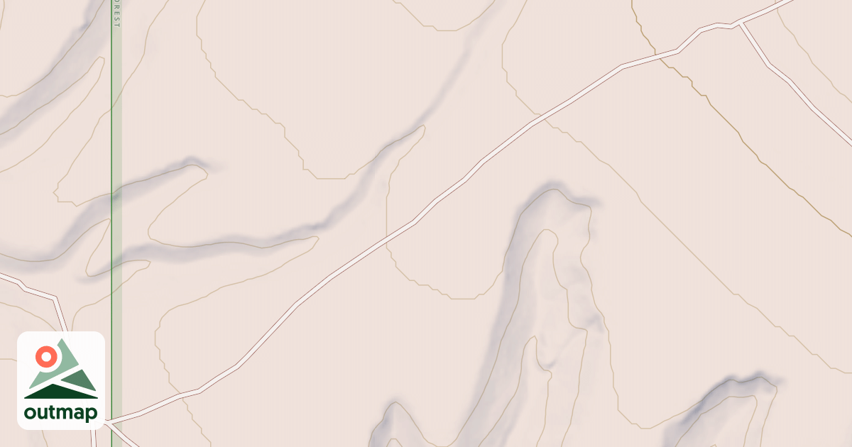 Map of USFS National Forest System Roads {09F40CDA-9B22-46BA-801B-5E297F5AB1E7}