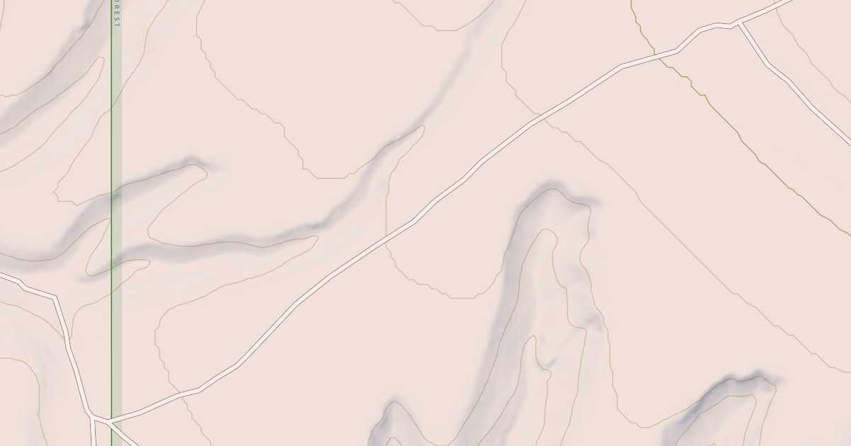 Map preview of USFS National Forest System Roads {09F40CDA-9B22-46BA-801B-5E297F5AB1E7}